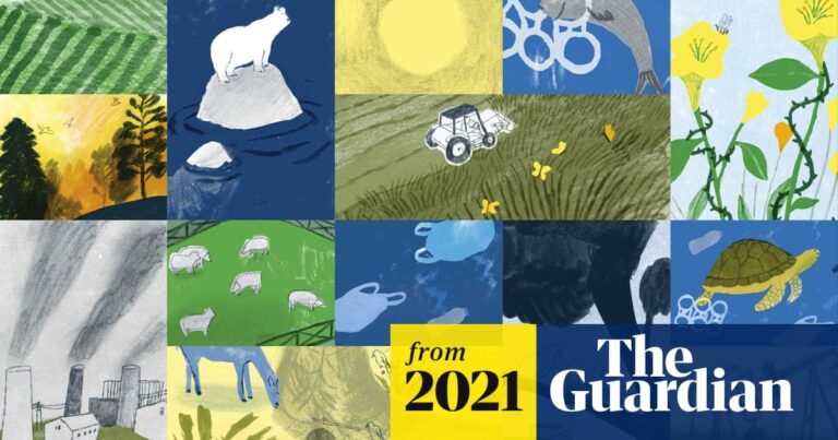 Confronting Nature's Challenges: Solutions For A Sustainable Future