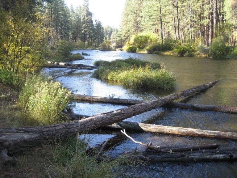 Exploring Home Waters: Engaging Lectures In Sunriver