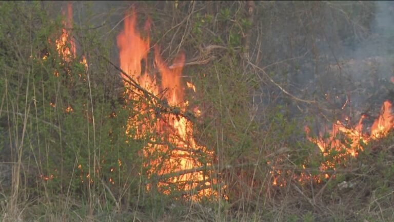 Floyd County Wildfire Controlled Through Collaborative Response
