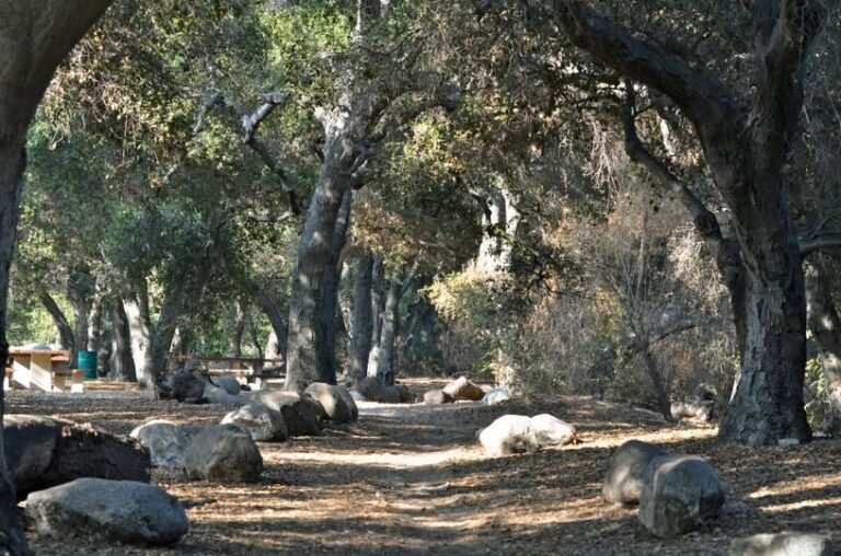 Hahamongna Committee Reviews Latest On Watershed Restoration Efforts