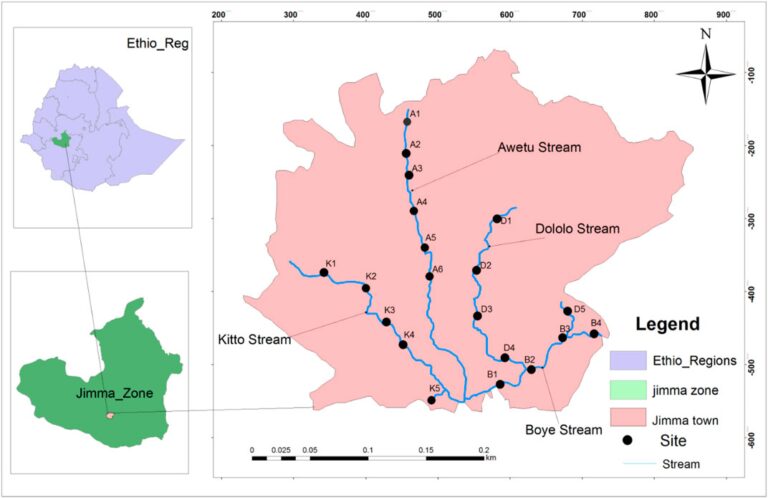 Heavy Metal Pollution In The Sediments Of Awetu Watershed, Southwestern