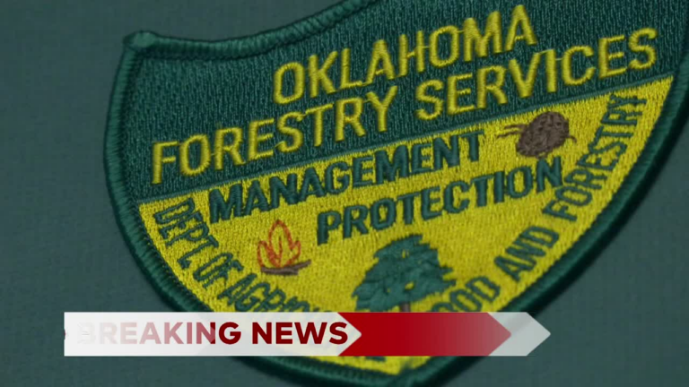 Oklahoma Forestry Director Dismissed Amid Wildfire Management Controversy
