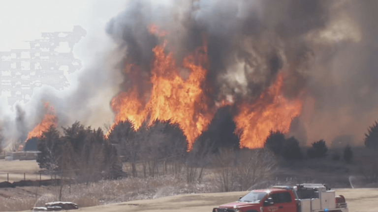 Oklahoma's Bold Initiative To Eliminate Wildfire Risks By Removing Hazardous