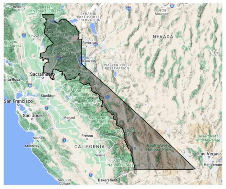 Reviving Forests: The Essential Role Of Human Hands