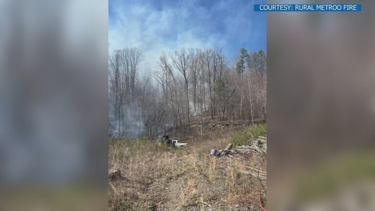 Rural Metro Fire Tackles 7 Acre Wildfire In Halls Community