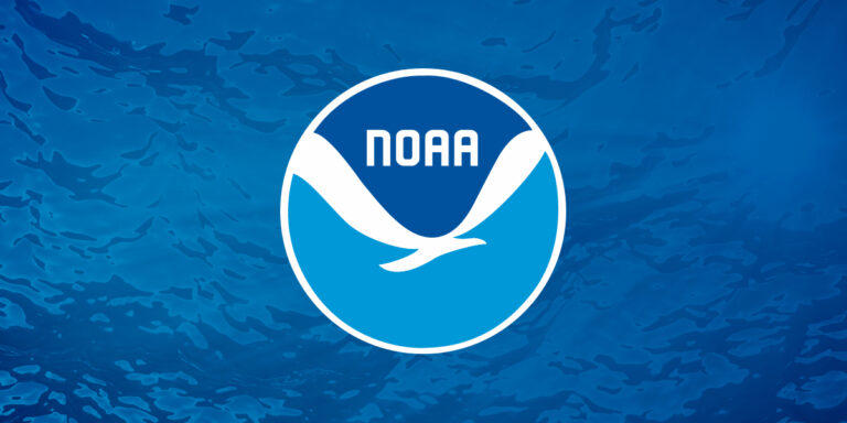 Discovering The Wonders Of Chesapeake Bay With Noaa Fisheries