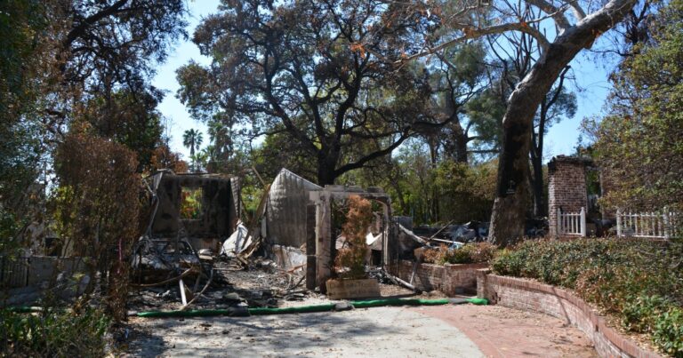 Exploring Wildfires: Our Environment, Our Communities, Our Connections
