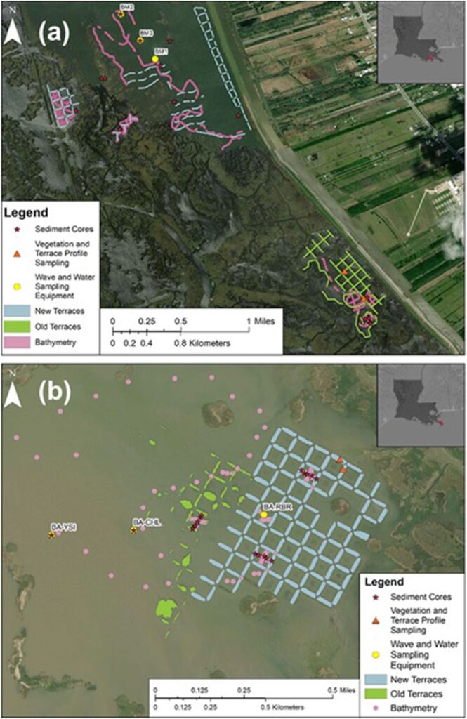 Exploring The Benefits Of Restoring Marsh Terraces In Terrebonne Bay:
