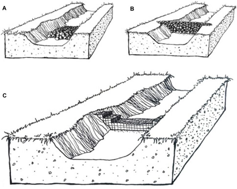 Innovative Rock Structures For Sustainable Dryland Restoration And Climate Resilience