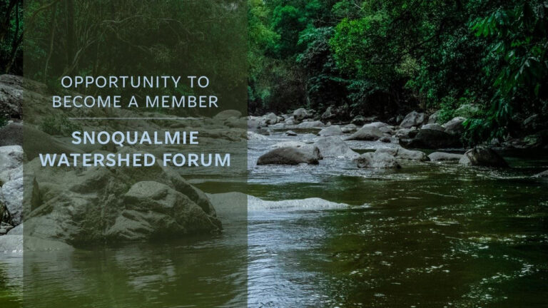 Join The Snoqualmie Watershed Forum: Help Restore Salmon Habitats