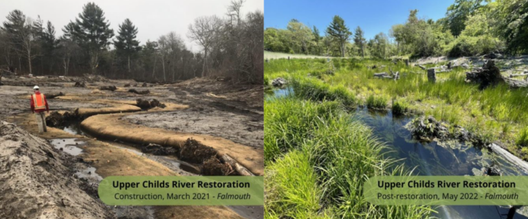 Massachusetts Invests $2.1 Million In Ecological Restoration Efforts