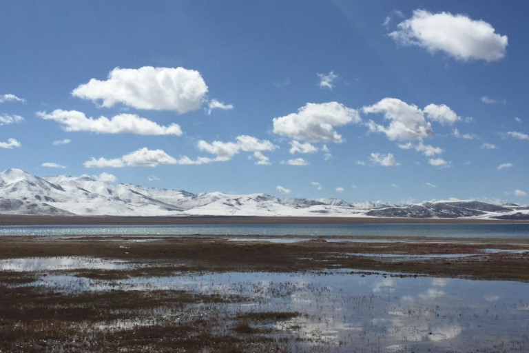 Nurturing Vibrant Watershed Ecosystems