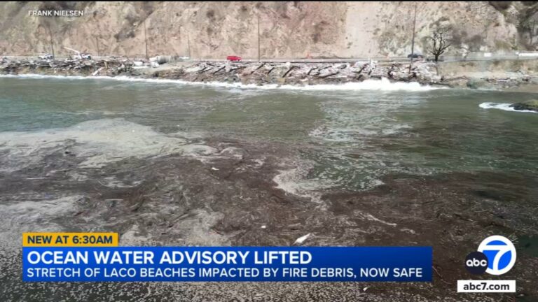 Ocean Water Advisory Lifted: Swimming At L.a. Beaches Is Back