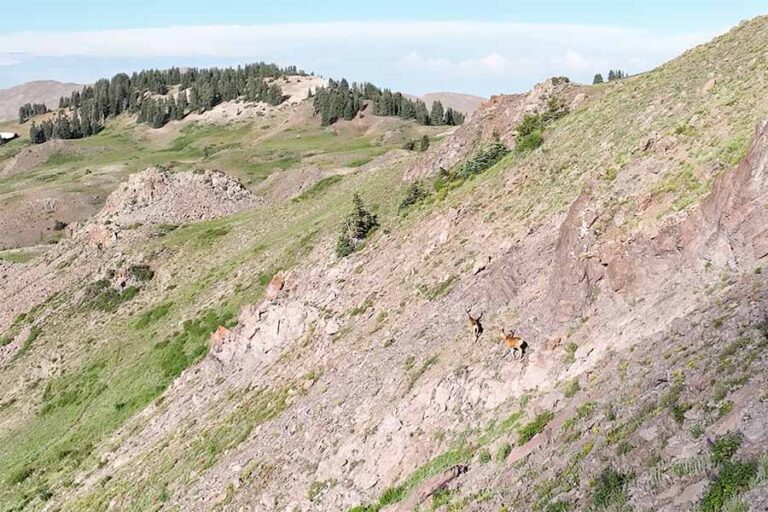 Record $6.6 Million Secured For Habitat Restoration And Wildlife Initiatives
