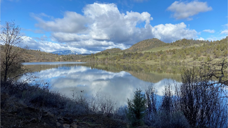 Streamlining Restoration: Enhancements In Permitting And Fish Habitat Solutions