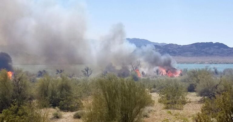 Wildfire Risk Declines Significantly In Lake Havasu City