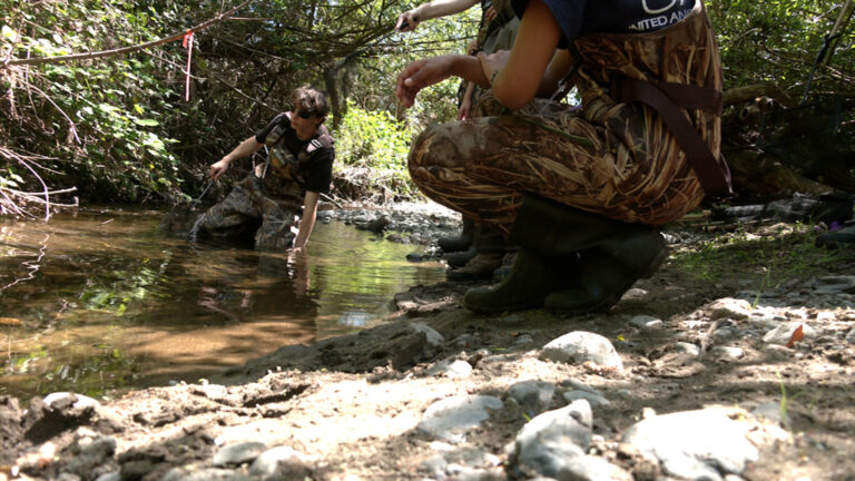 Casa Grande High School Students Team Up To Revitalize The