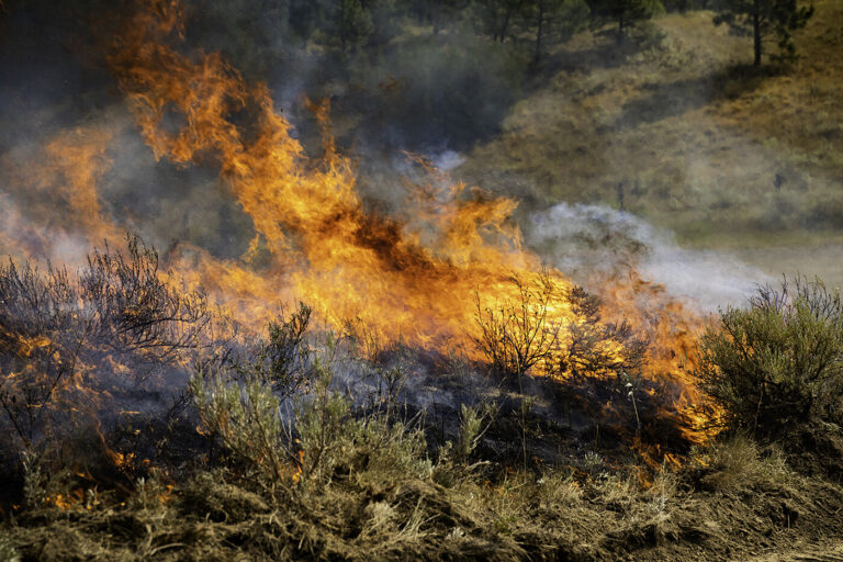 City And County Leaders Launch Wildfire Awareness Month