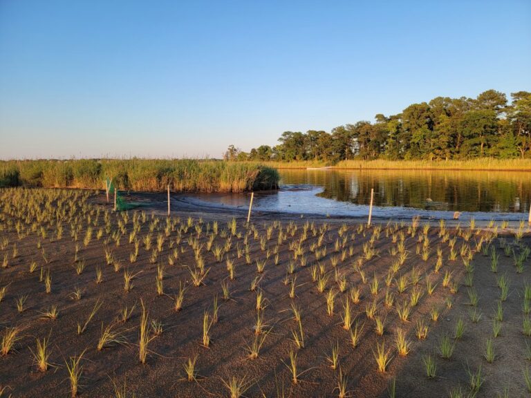 Creating A Living Laboratory: Dnr And Environmental Education Team Up