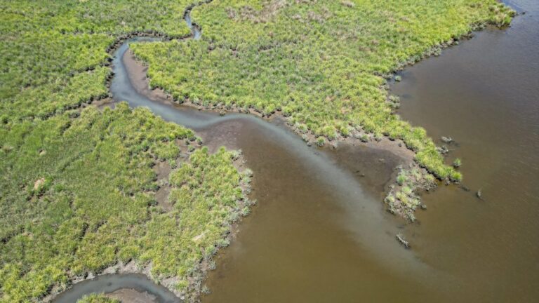 Dnr Unit Rebranded To Emphasize Restoration And Resilience Efforts