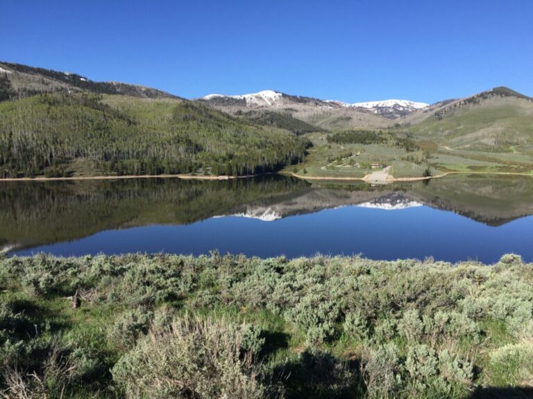 Dwr Invests $3.4 Million In Habitat Restoration Efforts