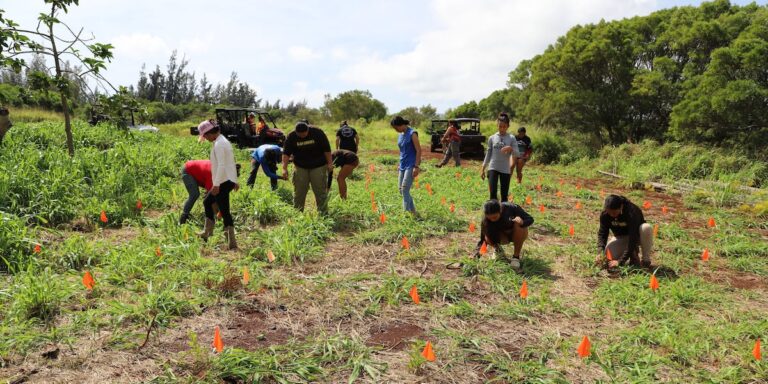 Hawaiian Immersion Students Lead West Maui Watershed Restoration Efforts