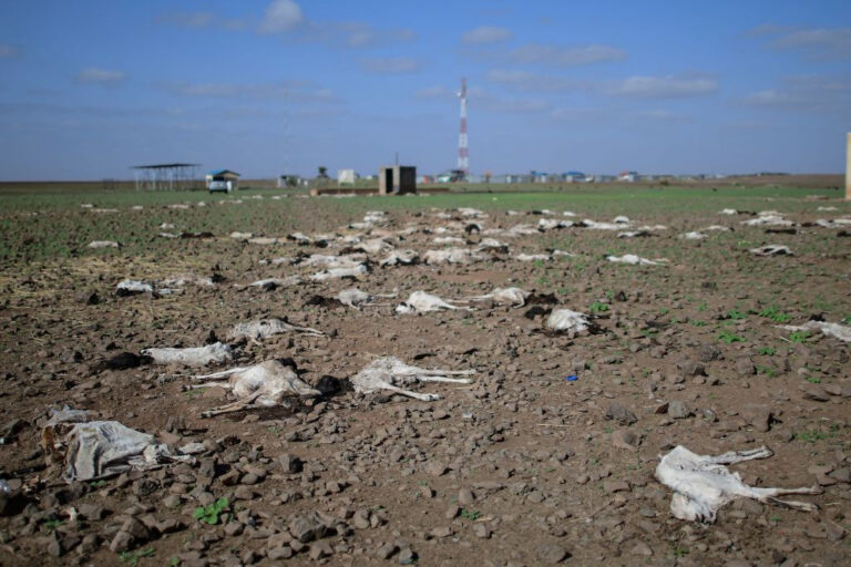 Intensifying Global Flash Droughts Linked To Climate Warming