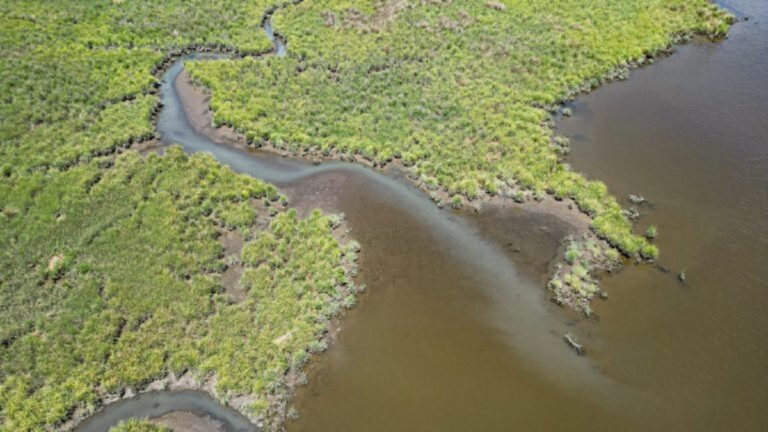 Maryland Dnr Broadens Water Management Efforts Across All Watersheds