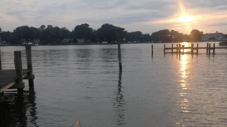 Maryland Pioneers Watershed Health With Groundbreaking Legislation