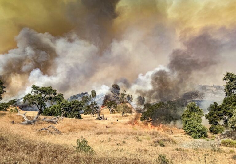 Surviving Wildfires: Essential Insights For North County Residents