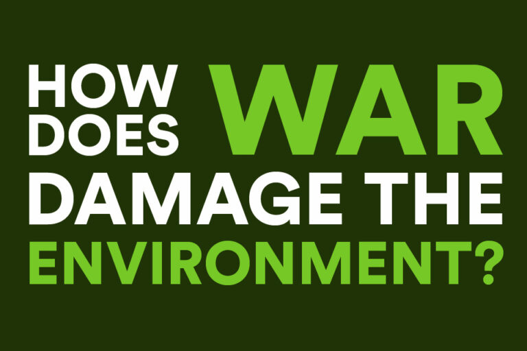 The Environmental Impact Of War And Conflict