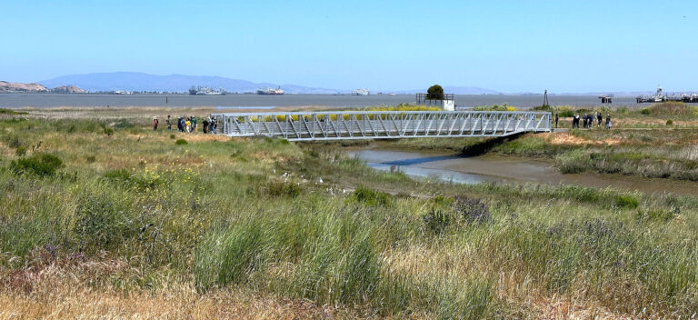 Transformative Celebration: Pacheco Marsh Restoration Project Completed With $11m Investment