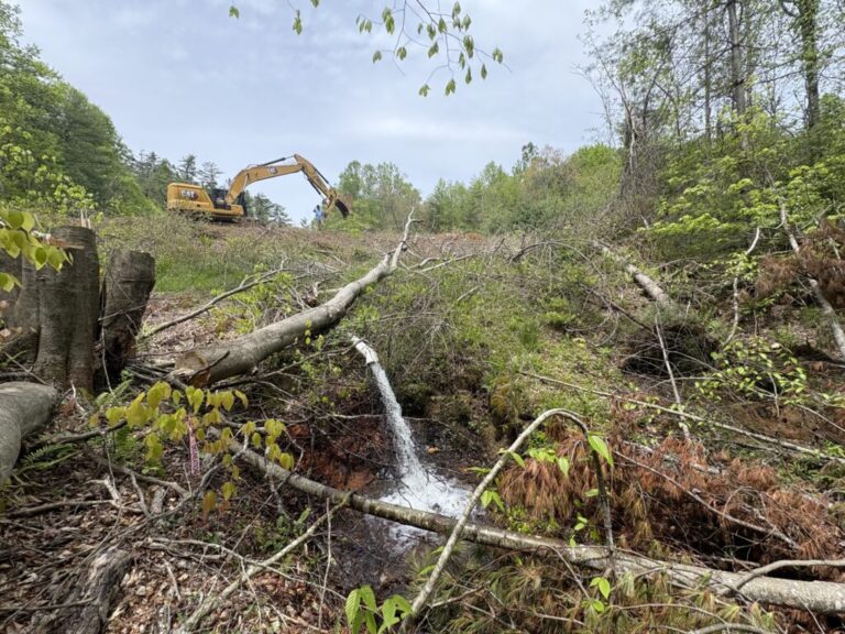 Cranberry Creek Dam Removal: Enhancing Brook Trout Habitat And Revitalizing