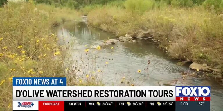 Explore Watershed Restoration Tours With Mobile Bay National Estuary Program