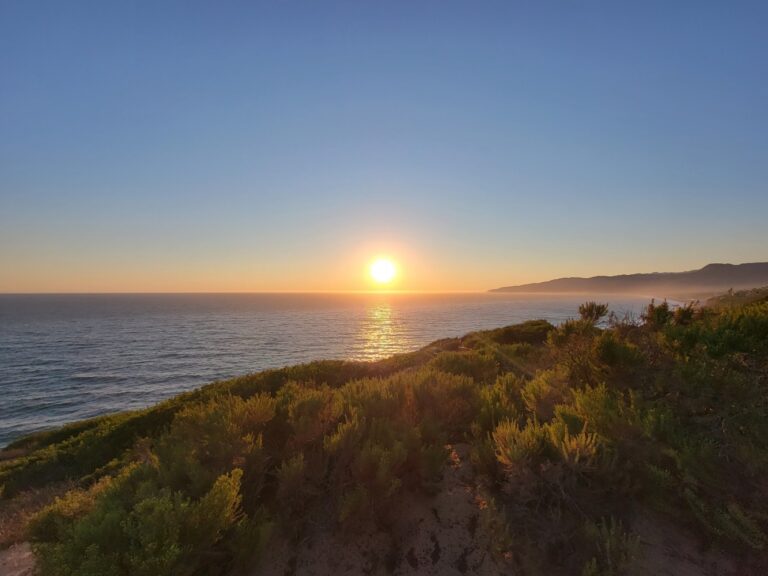 Malibu To Host Two Engaging Webinars On Fire Recovery And