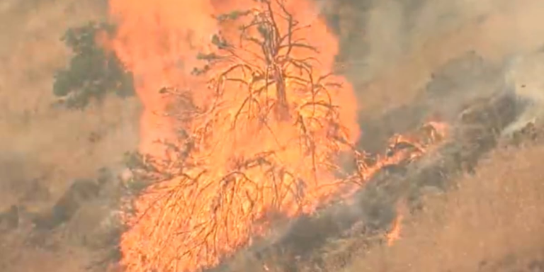 Mid Columbia Fire & Rescue Promotes Wildfire Safety And Prevention Tips