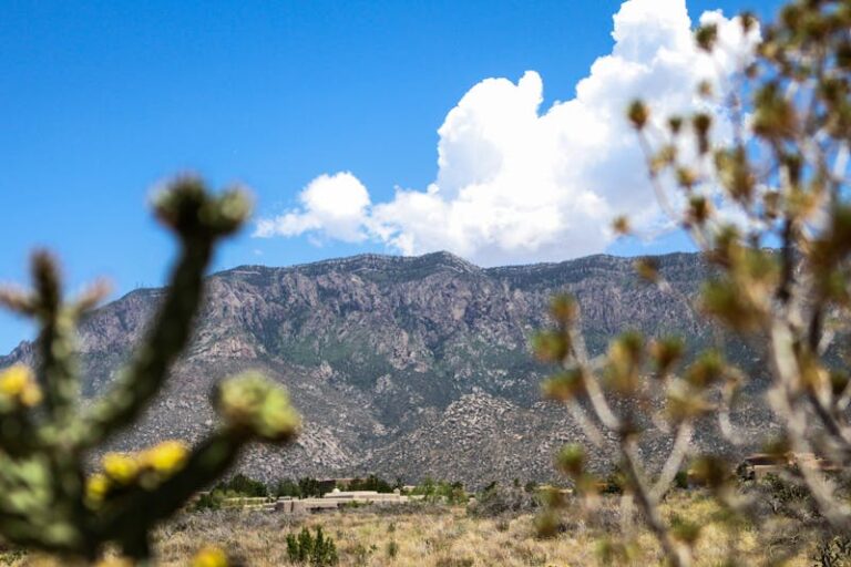 New Mexico's Wildfire Season Kicks Off