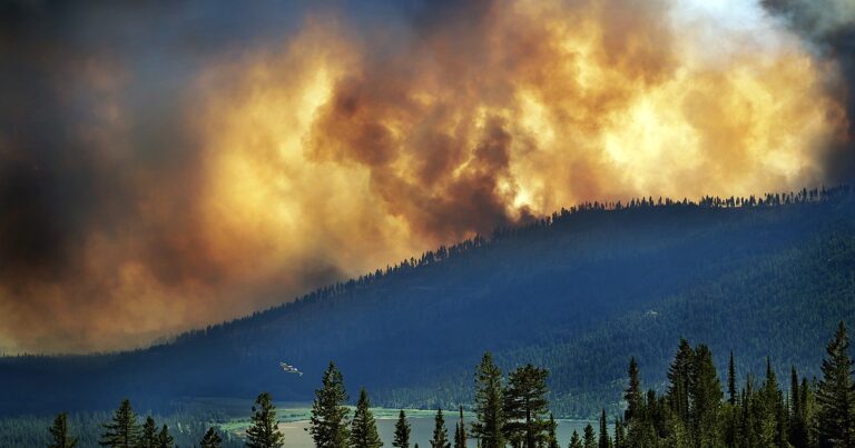 Wildfire Season Promises To Be Impactful