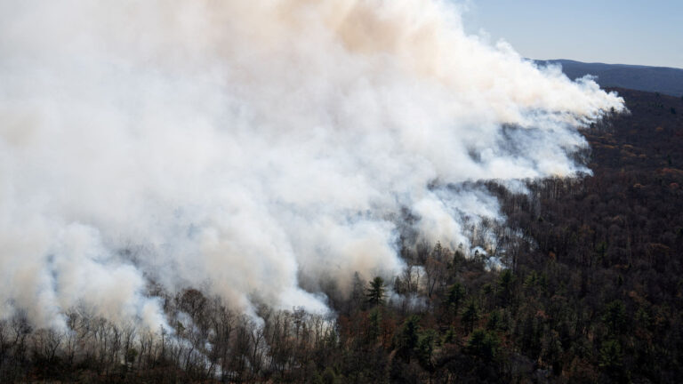 Wildfire Smoke Impacts Air Quality In Philadelphia And New Jersey
