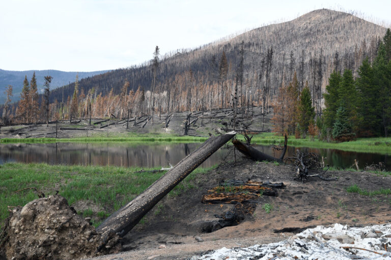 $4 Million Boost For Upper Colorado River Basin Watershed Restoration
