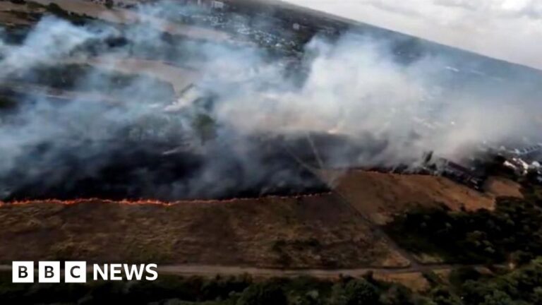 Dagenham Wildfire and Grass Fires Under Investigation Dagenham Wildfire And Grass Fires Under Investigation