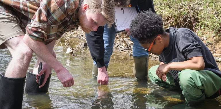 Discover A Minor In Watershed Studies At Susquehanna University
