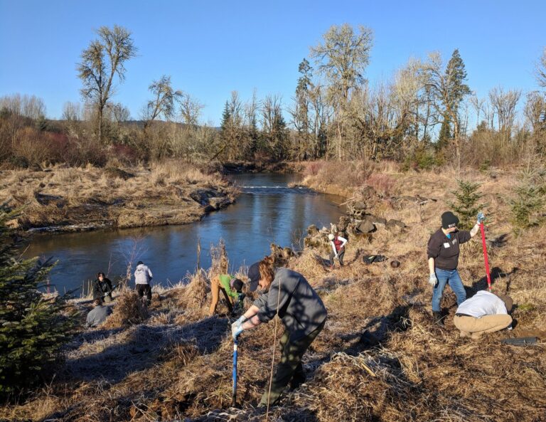 Exploring Restoration Opportunities: Join Us For Nehalem Basin Partnership Meetings