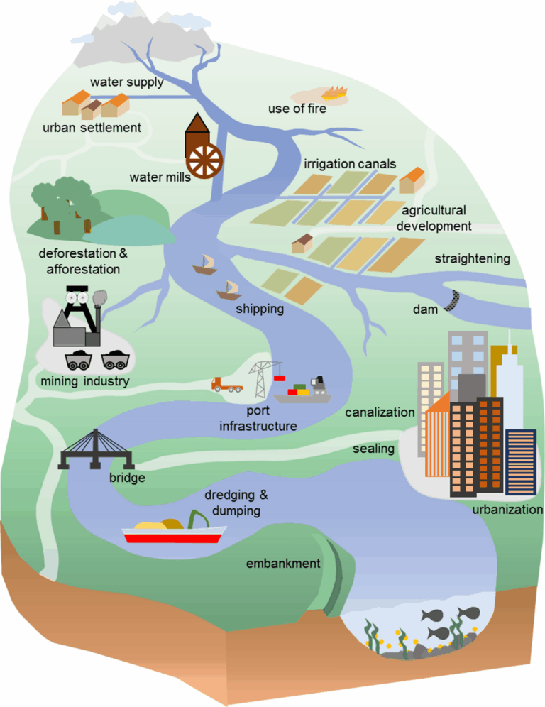 Exploring River Restoration: Human Influence On Europe's Waterways