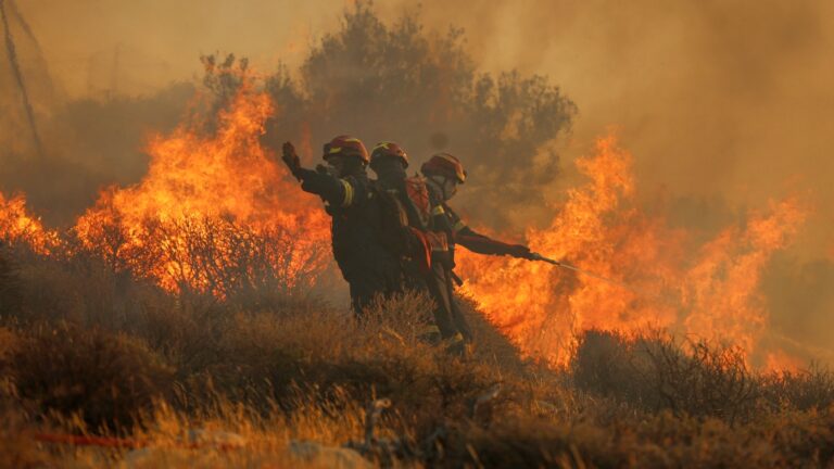 Firefighters Combat Wildfires Across Greece