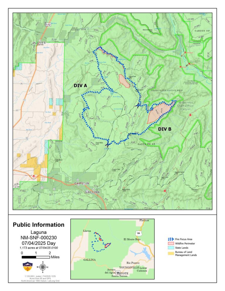 Laguna Wildfire Update July 4, 2025: Key Information And Insights