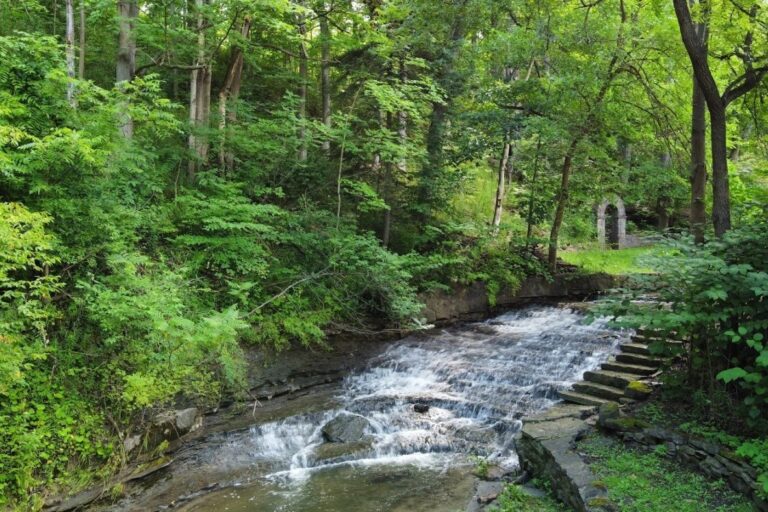 Npca Secures Funding For Two Twelve Mile Creek Restoration Initiatives
