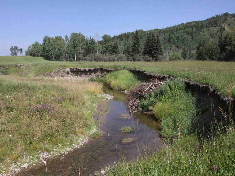 Alberta Enhances Water Access For Riparian Restoration