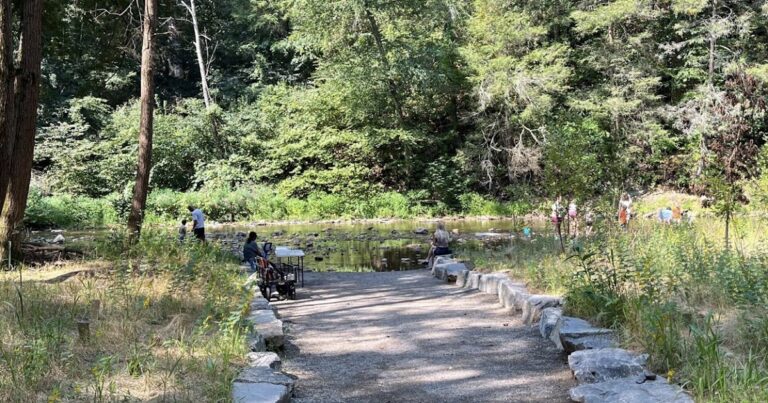 Bushkill Creek Stream Restoration Finished At Jacobsburg Environmental Education Center
