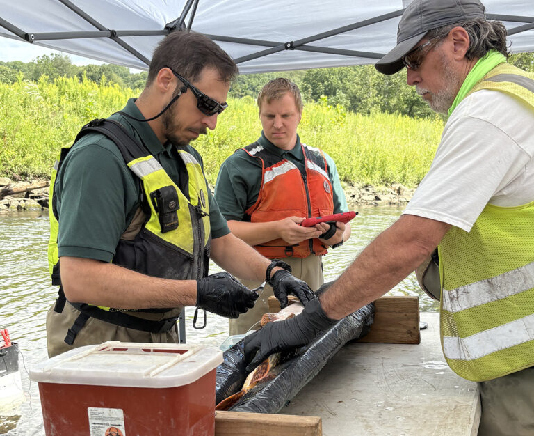 Discover The Cuyahoga River: A Journey Through Restoration Projects